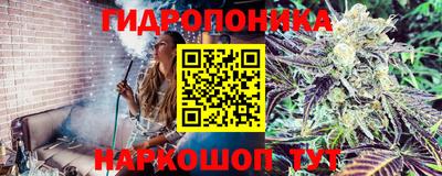 СК Донской