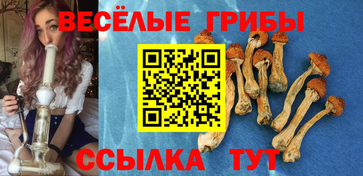 Галлюциногенные грибы GOLDEN TEACHER  где купить наркотик  Истра  Вход с VPN 